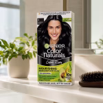 Garnier Hair Color Natural
