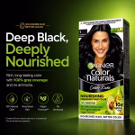 Garnier Hair Color Natural