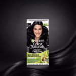 Garnier Hair Color Natural