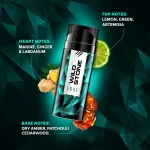 Wild Stone Edge Body perfume nodes